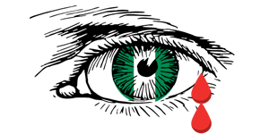 Ni-Logo
